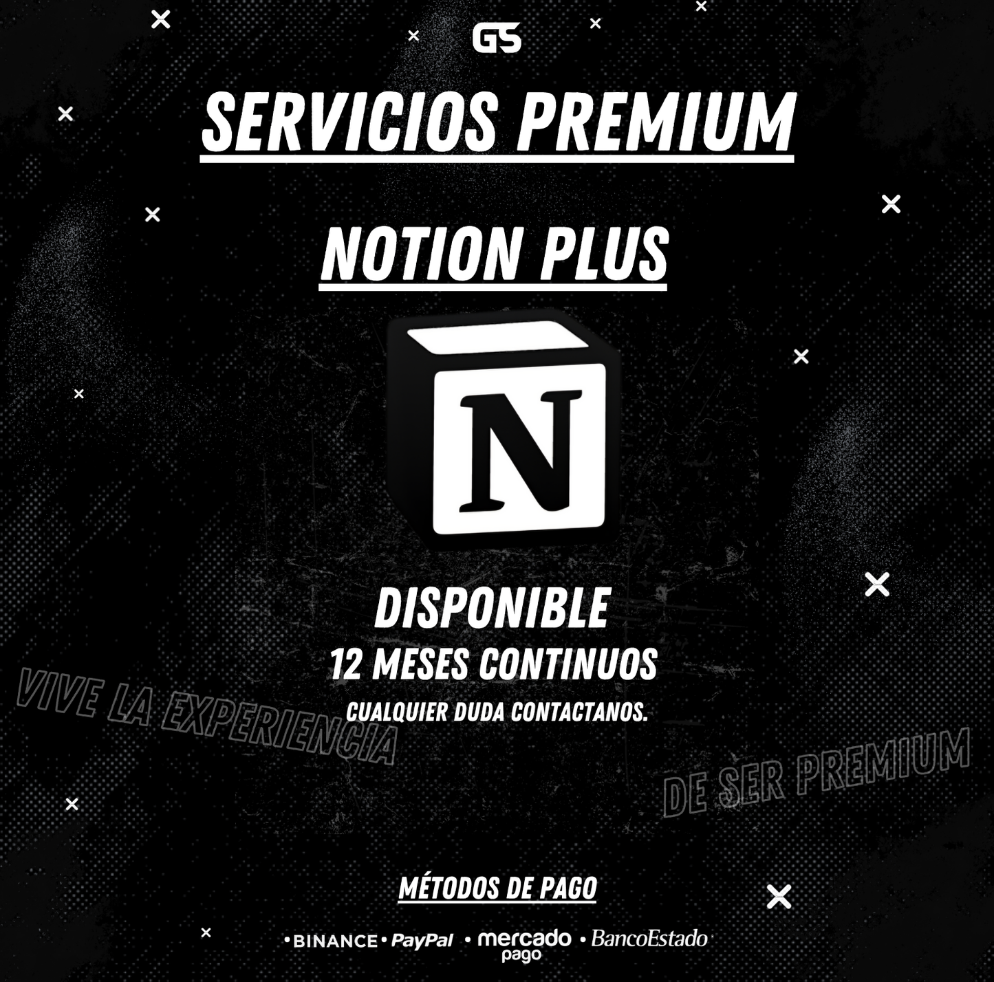 Notion Plus